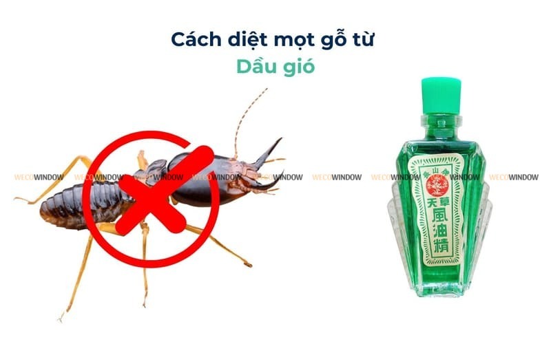 Cách trị mọt ở gỗ bằng dầu gió. 