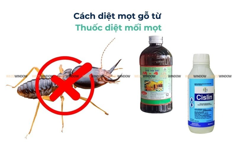 Sử dụng thuốc trị mối ăn gỗ. 